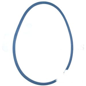 034332 - Trans Belt - Thumbnail 2