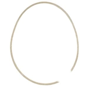 07200019 - Drive Belt - Thumbnail 2