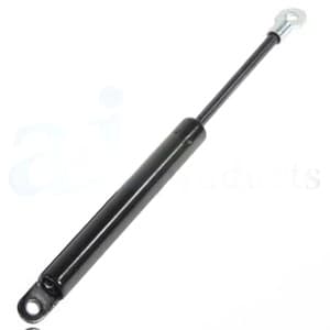 108157A1 - Gas Strut, Hood