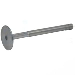 1019742M1 - Intake Valve - Thumbnail 2