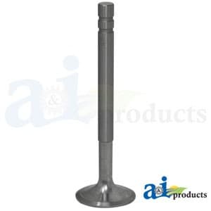 1019742M1 - Valve, Intake