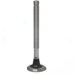 1019743M1 - Exhaust Valve