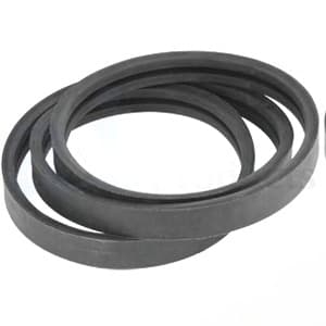 124572A1 - Auxiliary Pump Drive Belt