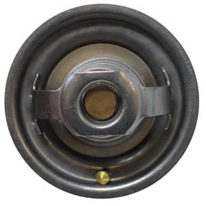 1446222M91 - THERMOSTAT (180°) - Thumbnail 3