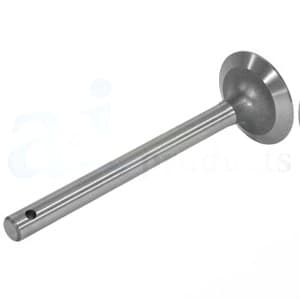 1750070M1 - Intake Valve - Thumbnail 3