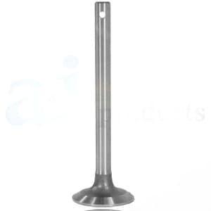1750070M1 - Intake Valve