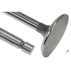 1884123M1 - INTAKE VALVE - Thumbnail 2