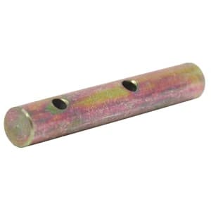 199481C1 - Large Pin