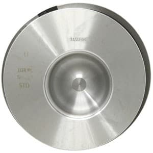 1931021 - Piston W/ Rings; Std - Thumbnail 4