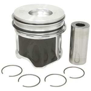 1931021 - Piston W/ Rings; Std