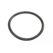 195565M1 - Lift Shaft O-Ring