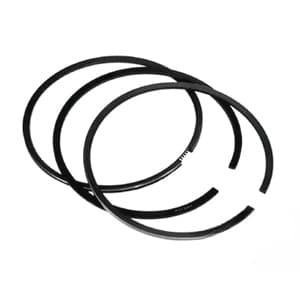 3144977R91 - Piston Rings