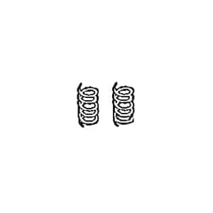 31745117 - Valve Inner Spring