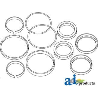 3443433M93 - Steering Cylinder Repair Kit - Thumbnail 2