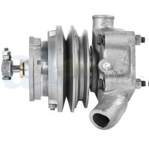 364852R92 - Pump, Water - Thumbnail 2