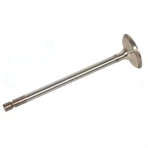 4895052 - INTAKE; STD. VALVE