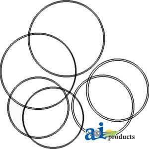 539535R91 - Brake O-Ring Kit, Brake Piston & Differential Bearing Carrier