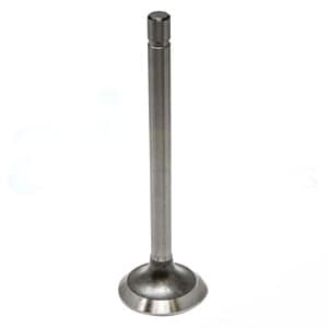 70234829 - Intake Valve