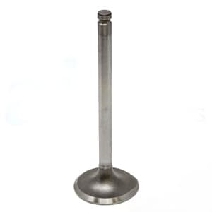 732811M1 - INTAKE VALVE
