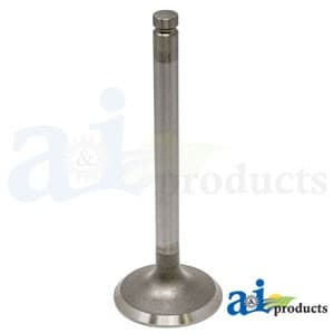 735820M1 - INTAKE VALVE