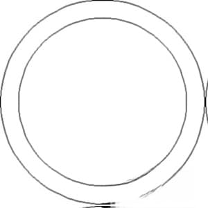 82000736 - O-Ring
