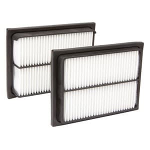 AF25573 - Filter, Air (QTY 1)