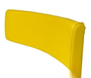 AR21966R-6 - YLW Wood Base Back Cushion