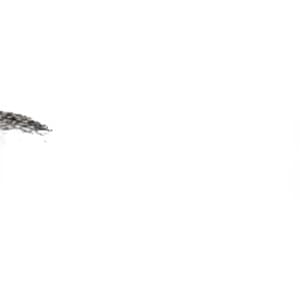 AXE28813 - Feederhouse Chain Chain - Thumbnail 3