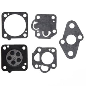 B1CK230 - Gasket and Diaphragm Kit