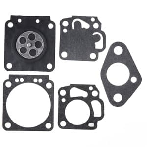 B1CK241 - Gasket and Diaphragm Kit