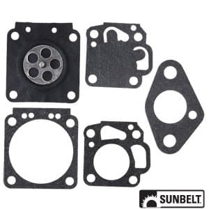 B1CK241 - Gasket and Diaphragm Kit