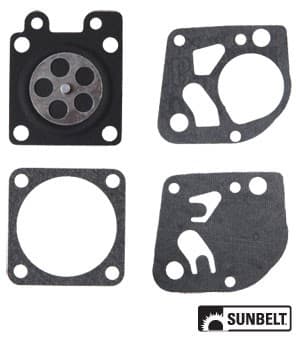 B1CK250 - Gasket and Diaphragm Kit
