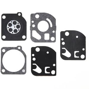 B1GND17 - Gasket and Diaphragm Kit