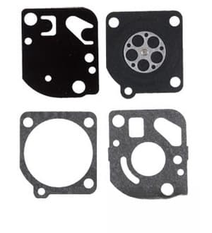 B1W95520 - Metering Diaphragm Assembly