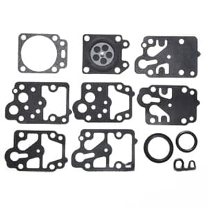 B1WD10WY - Gasket and Diaphragm Kit