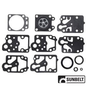 B1WD10WY - Gasket and Diaphragm Kit