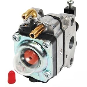 B1WWYL19 - Complete Carburetor