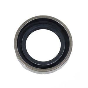 Oil (Tine) Seal