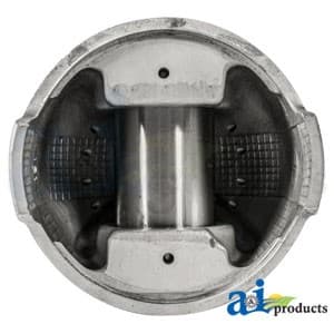 F2NN6K100GA - Piston (Std) - Thumbnail 5