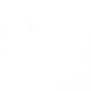 H172408 - Skid; Poly Shoe - Thumbnail 4