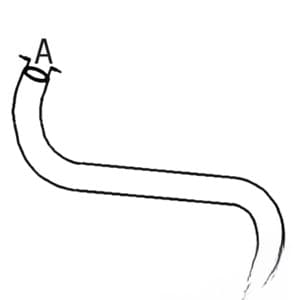 K912034 - Lower Radiator Hose - Thumbnail 2