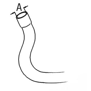 K948453 - Lower Radiator Hose