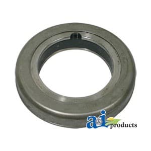 N1173 - Bearing, Trans Release (greaseable)
