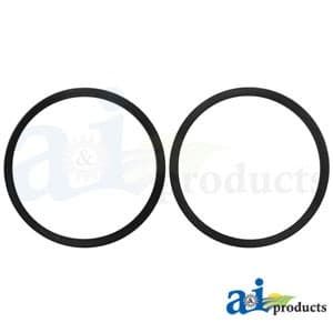 R39304 - Washer; Packing (2 PK)