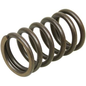 R49571 - Spring, Valve Outer