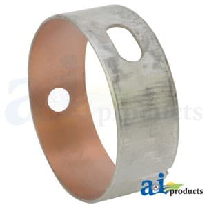 R87561 - Bearing, Camshaft