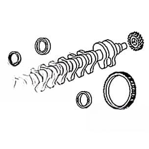 T20094 - Gear, Crankshaft - Thumbnail 4