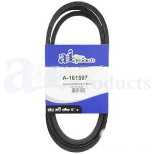 161597 - Belt, Drive