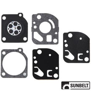 B1GND17 - Gasket and Diaphragm Kit