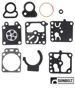 B1WD10WZ - Gasket and Diaphragm Kit